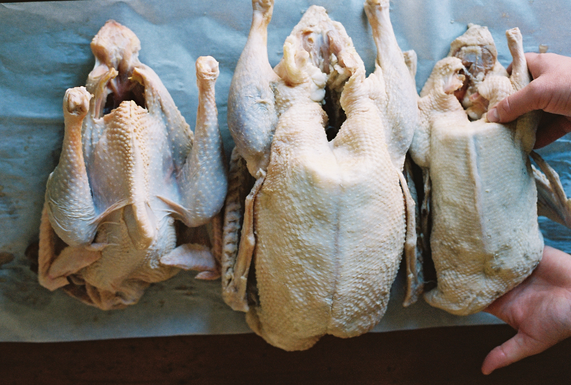 Cooking with Heirloom Poultry - oldslatefarm.com